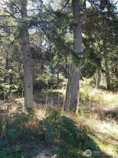 $340,000 | 0 Raccoon Point Road, Unit LOT 2, Orcas Island, WA 98245