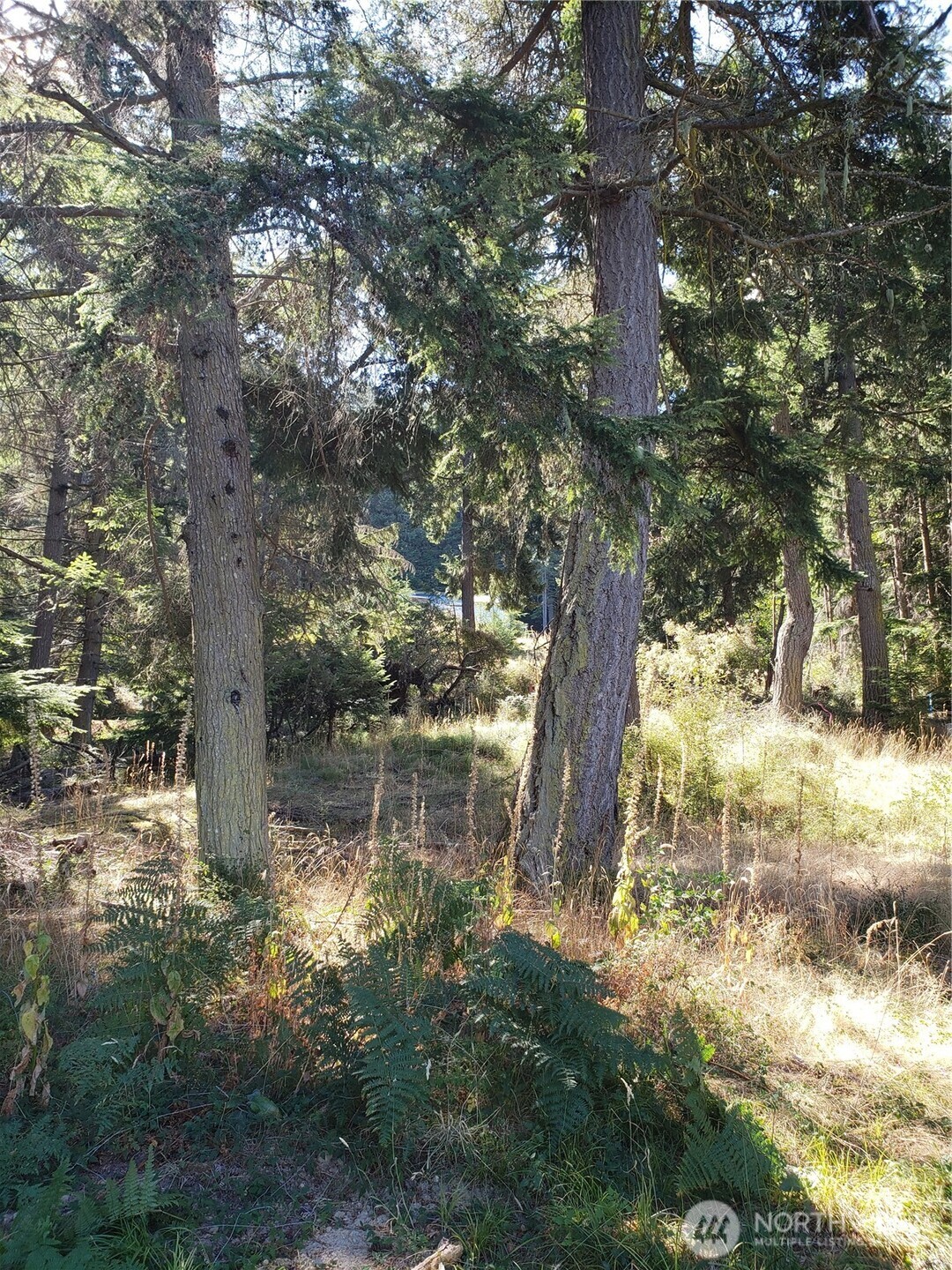 0 Raccoon Point Road, Unit LOT 2 Orcas Island, WA 98245 - Photo 8 of 18