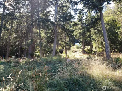 $340,000 | 0 Raccoon Point Road, Unit LOT 2, Orcas Island, WA 98245