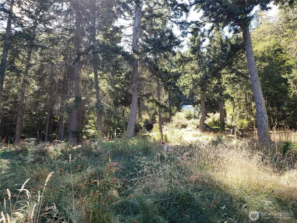 $340,000 | 0 Raccoon Point Road, Unit LOT 2, Orcas Island, WA 98245