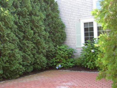 130 Parker Road, Unit B Osterville, MA 02655 - Photo 3 of 13 a view of a house with a yard and potted plants