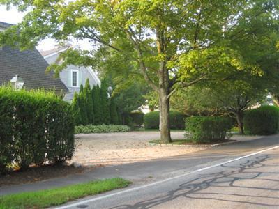 130 Parker Road, Unit B Osterville, MA 02655 - Photo 10 of 13 a view of a yard with plants and trees