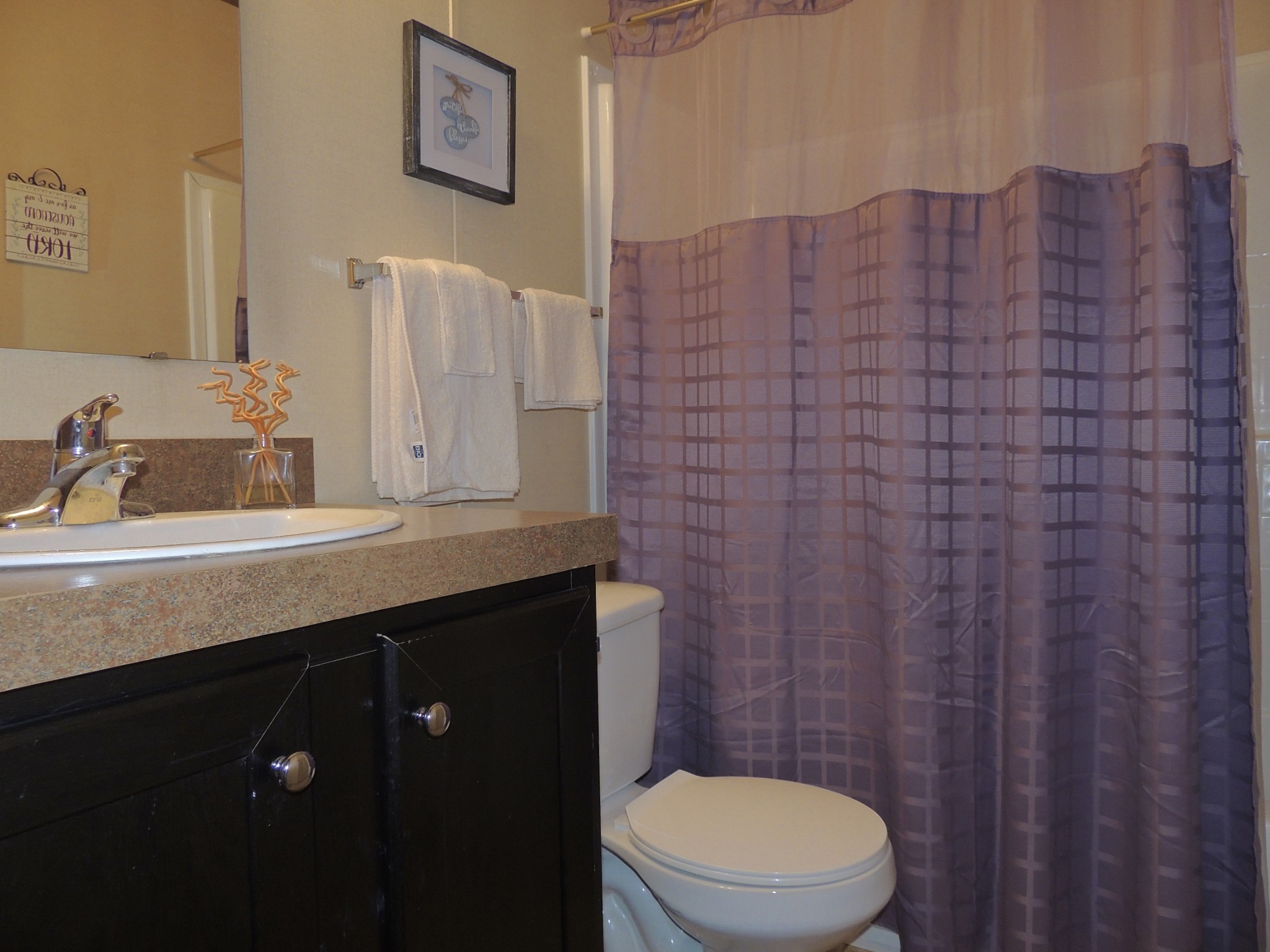 922 Arlington Ridge Road Erin, TN 37061 - Photo 12 of 18 a bathroom with a granite countertop toilet sink and mirror