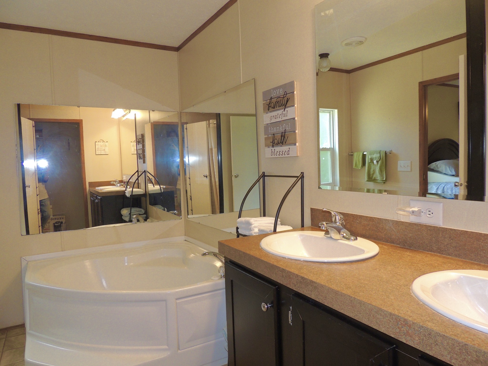 922 Arlington Ridge Road Erin, TN 37061 - Photo 15 of 18 a bathroom with a sink and a mirror