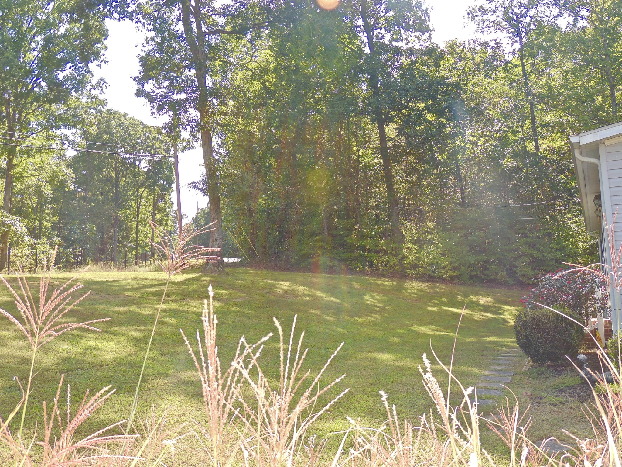 922 Arlington Ridge Road Erin, TN 37061 - Photo 6 of 18 a view of a indoor basketball court