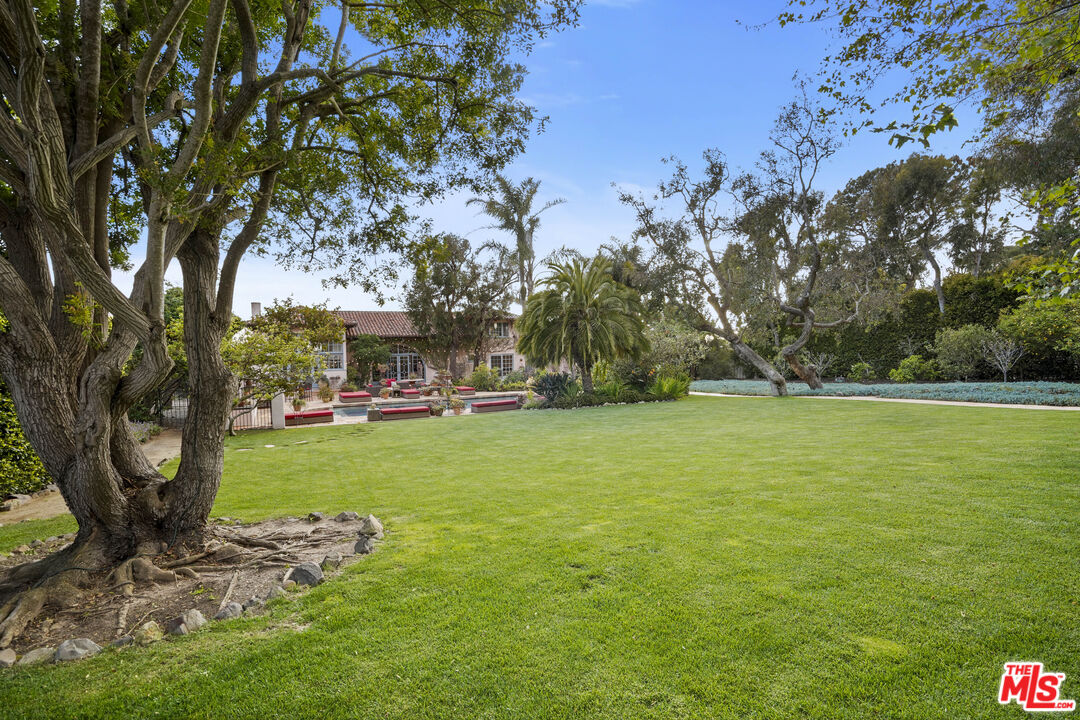 7332 Birdview Avenue Malibu, CA 90265 - Photo 49 of 71 a view of a park with large trees