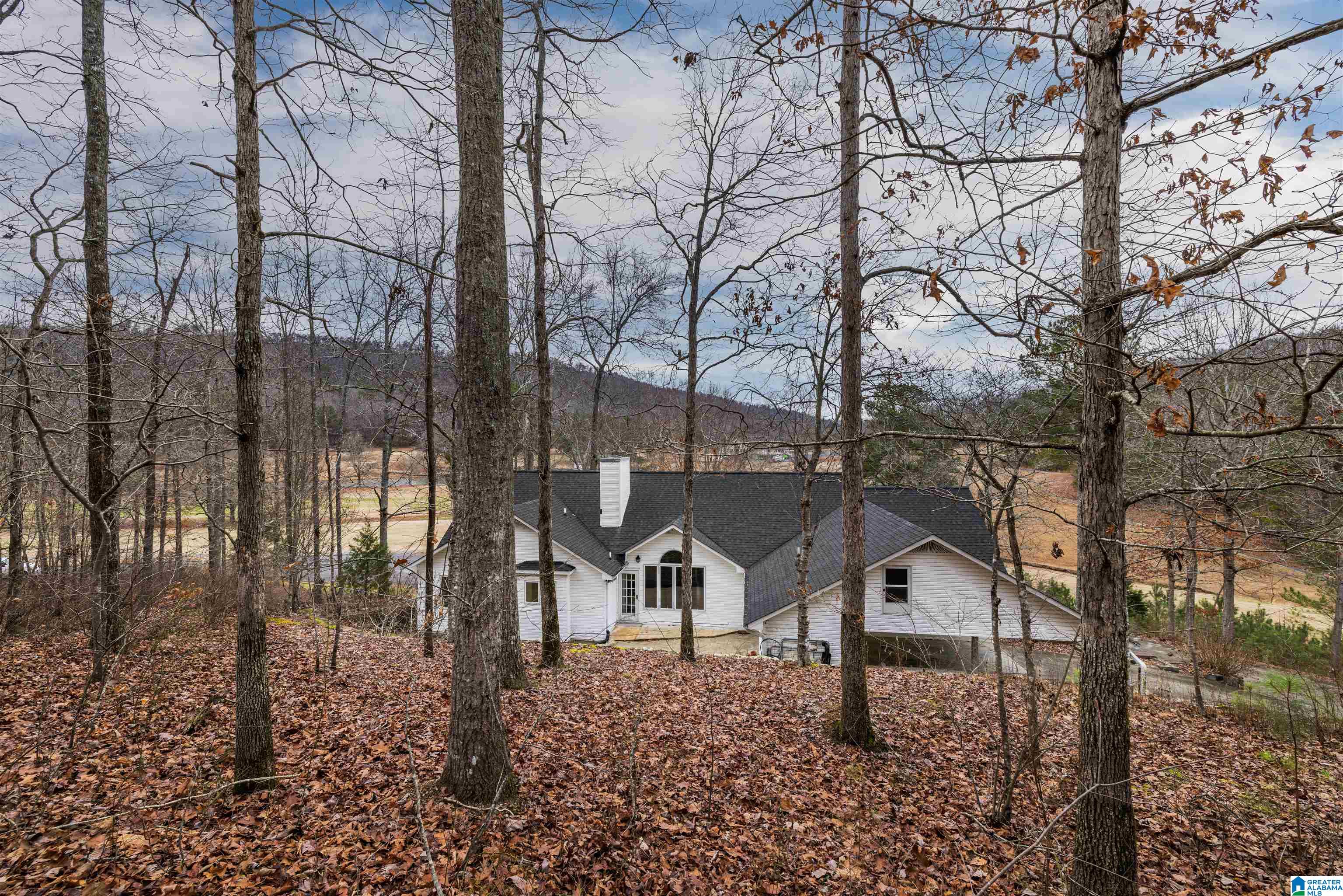 1 Heritage Road Oneonta, AL 35121 - Photo 61 of 74