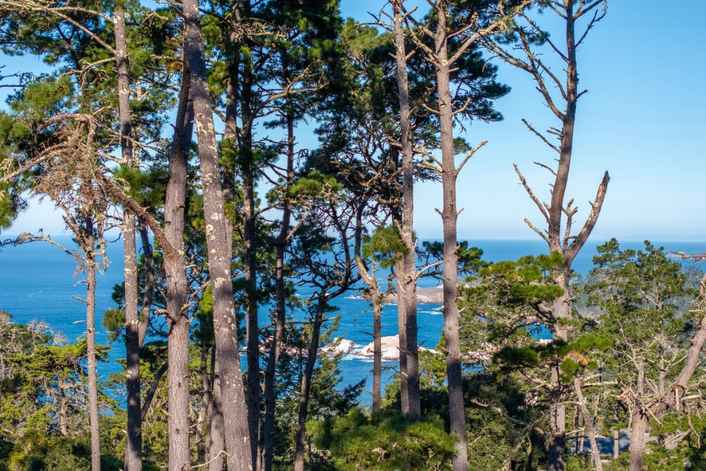 90 Crest Road Carmel, CA 93923 - Photo 2 of 8