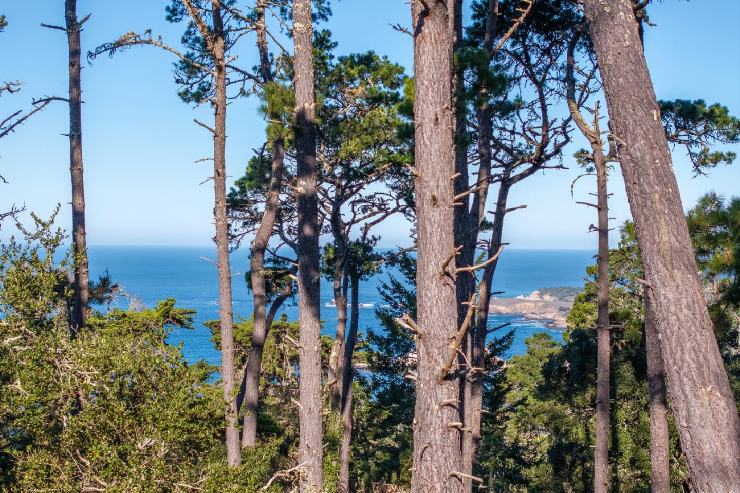 90 Crest Road Carmel, CA 93923 - Photo 3 of 8