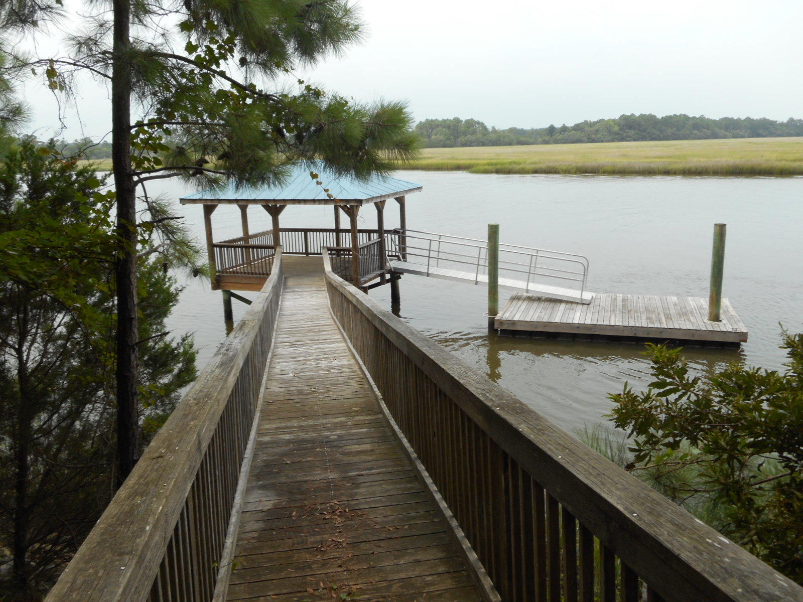 8694 Peters Point Road Edisto Island, SC 29438 - Photo 1 of 20 DSCN4662