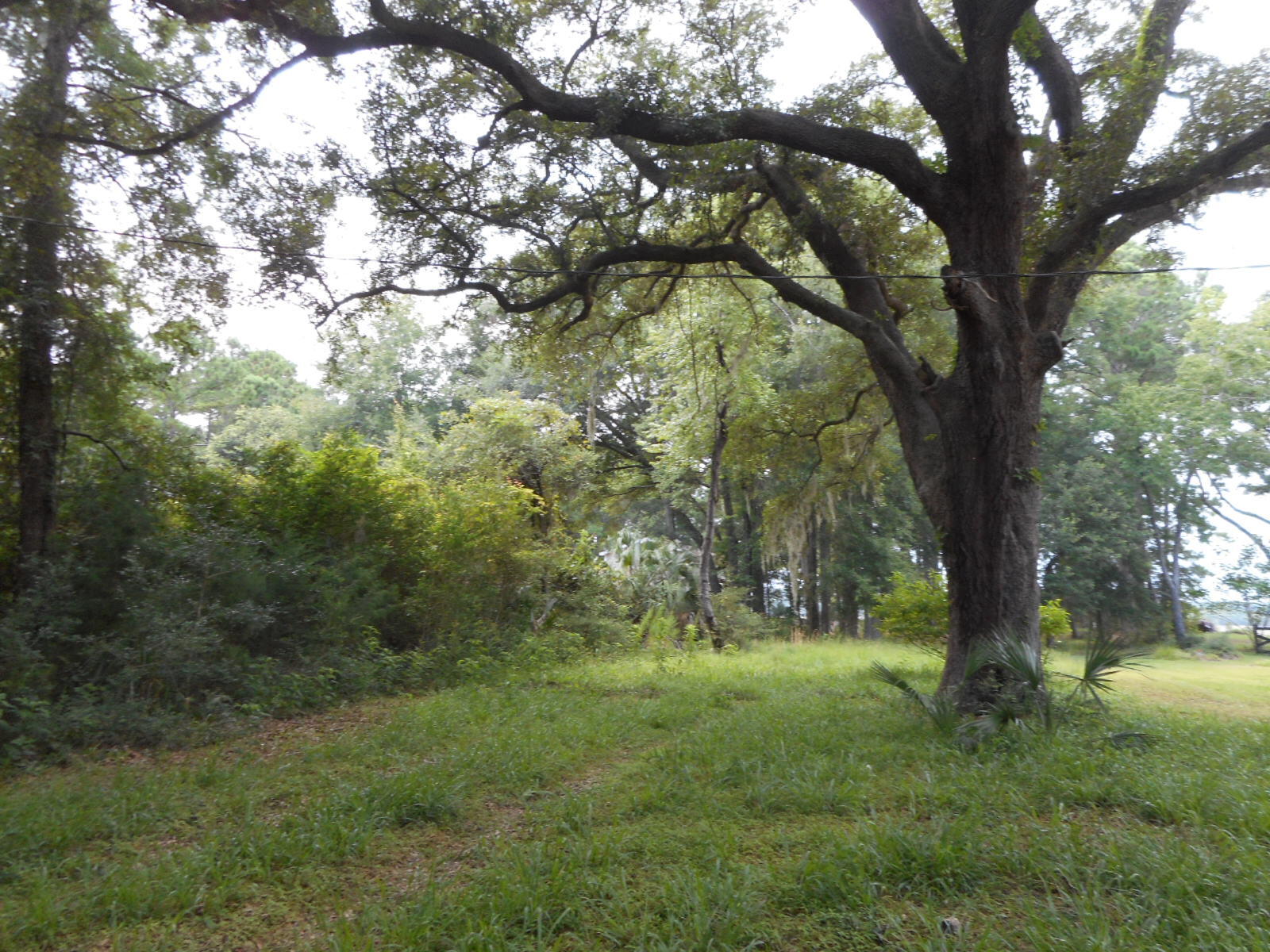 8694 Peters Point Road Edisto Island, SC 29438 - Photo 2 of 20 DSCN4660