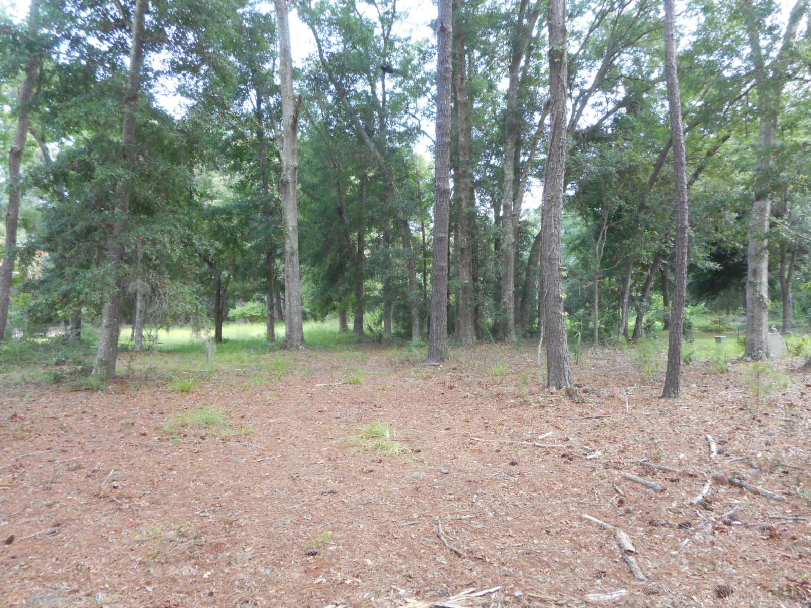 8694 Peters Point Road Edisto Island, SC 29438 - Photo 4 of 20 DSCN4661