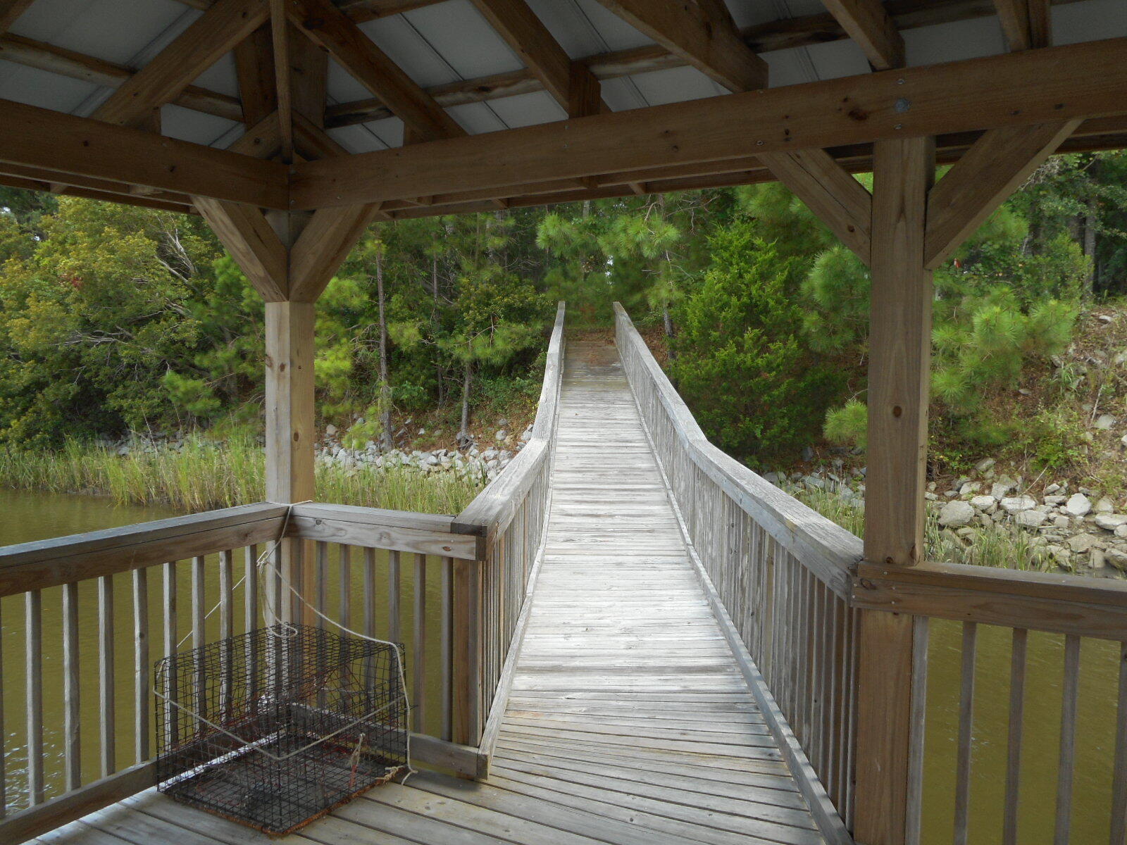 8694 Peters Point Road Edisto Island, SC 29438 - Photo 6 of 20 DSCN4664