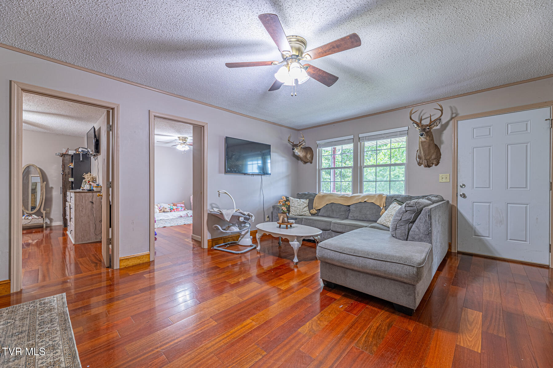125 Parsonage Road Elizabethton, TN 37643 - Photo 39 of 43 Emily One-20