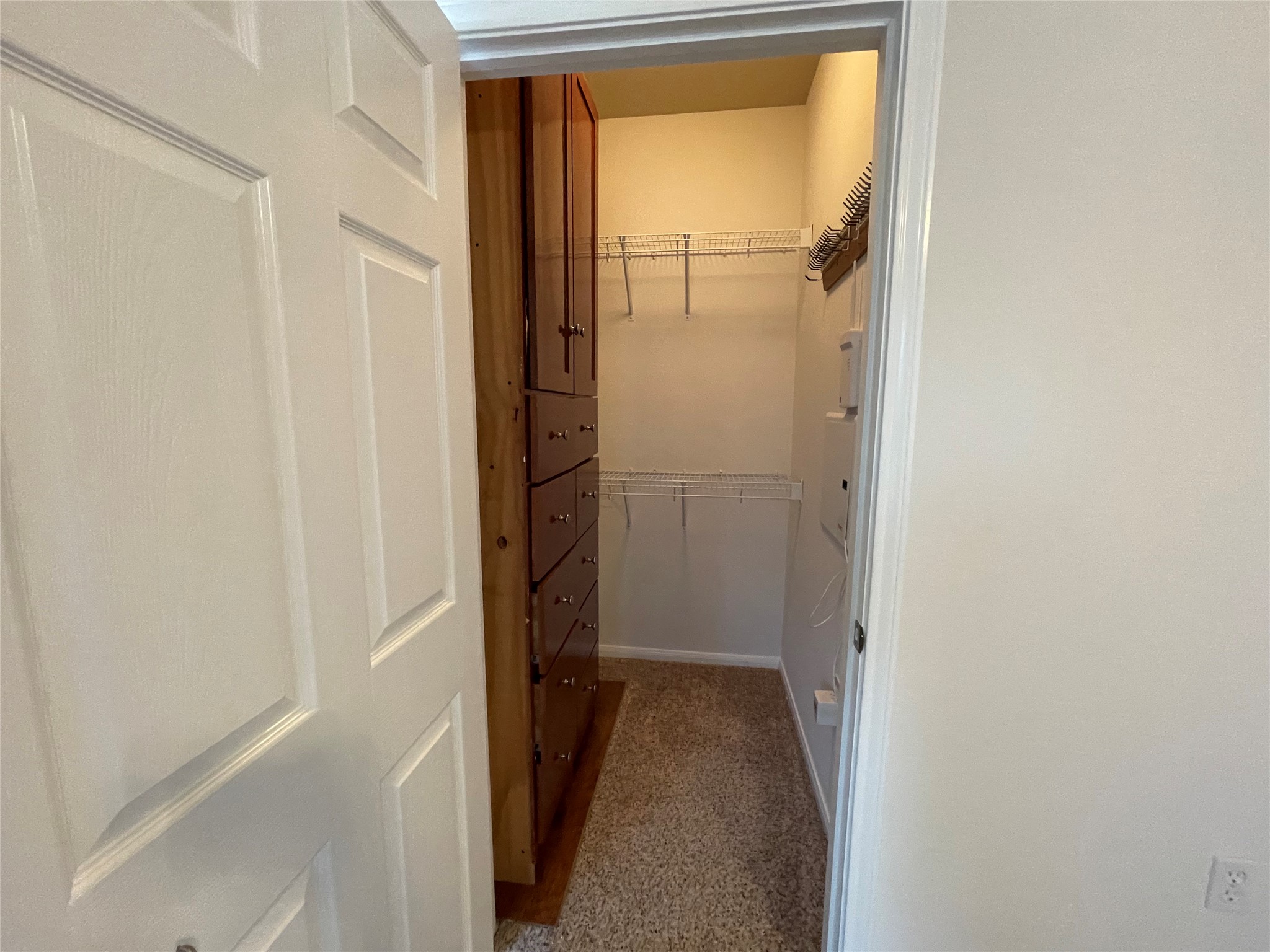 3517 Bronco Bend Loop Austin, TX 78744 - Photo 25 of 39 Walk in closet with light colored carpet