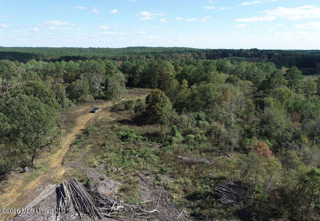 154 County Road Tillatoba, MS 38961 - Photo 22 of 58 4kgrdn61-orig_orig