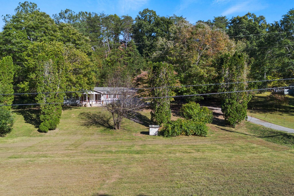 215 Maxwell Road Blue Ridge, GA 30513 - Photo 41 of 44 Gallery Image 41