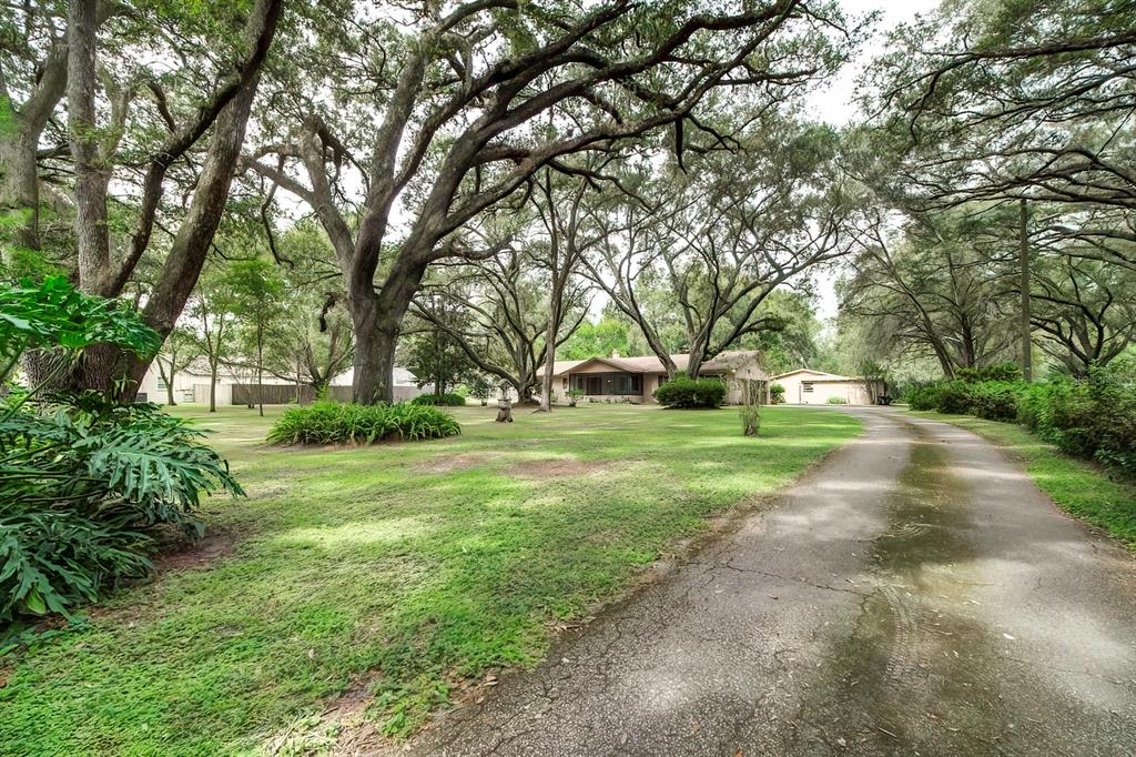 1508 Touchton Road Lutz, FL 33549 - Photo 1 of 1 Gallery Image 1