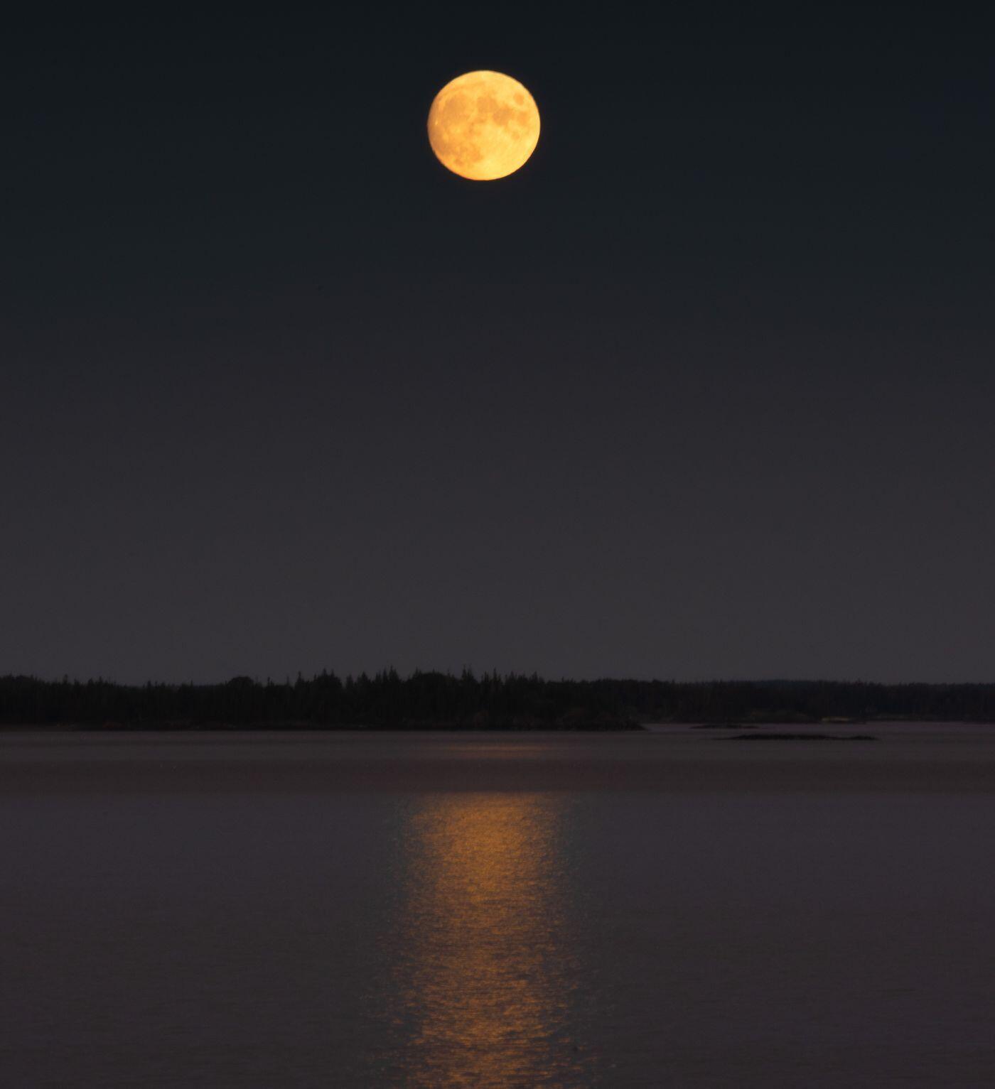 866 Pendleton Point Road Islesboro, ME 04848 - Photo 42 of 44 W46-ME1377_45A