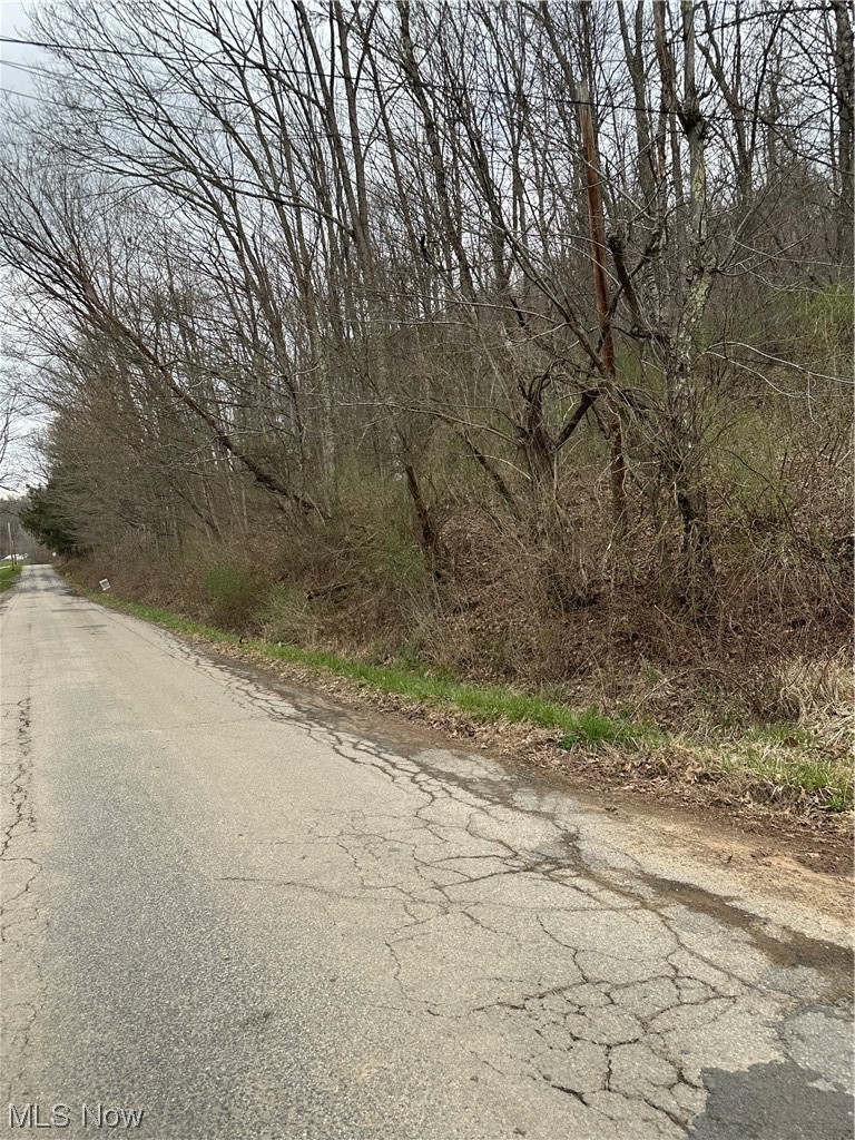 Rinehart Road Wallace, WV 26448 - Photo 2 of 14