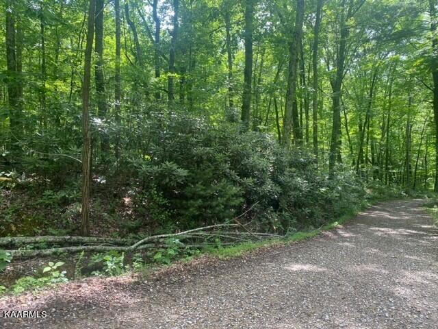 Valley Way Newport, TN 37821 - Photo 4 of 5 critter 12