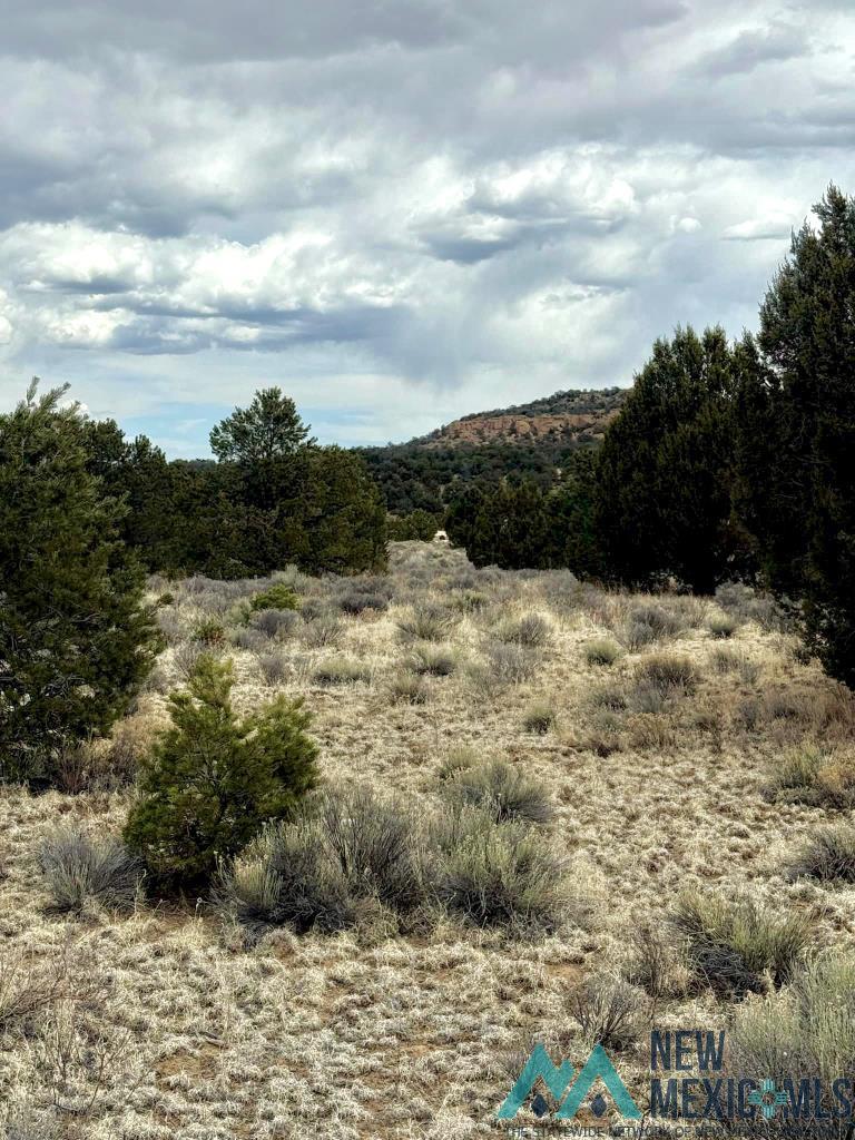 16 Five Five Gate Road Pinehill, NM 87357 - Photo 6 of 15