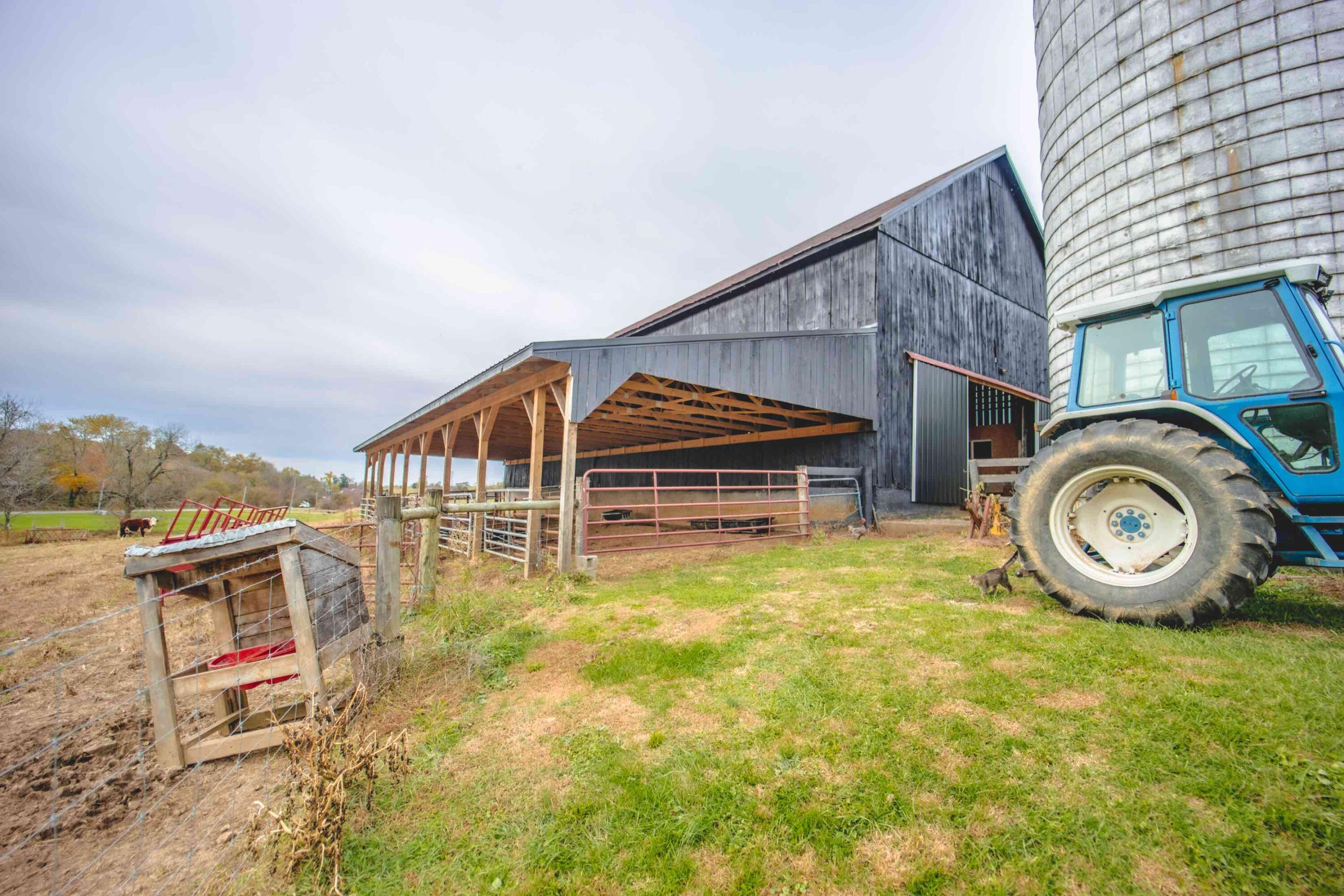 2363 Fall Lick Road Lancaster, KY 40444 - Photo 57 of 79 0S1A9124