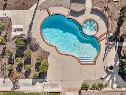 a view of a swimming pool with a yard and plants