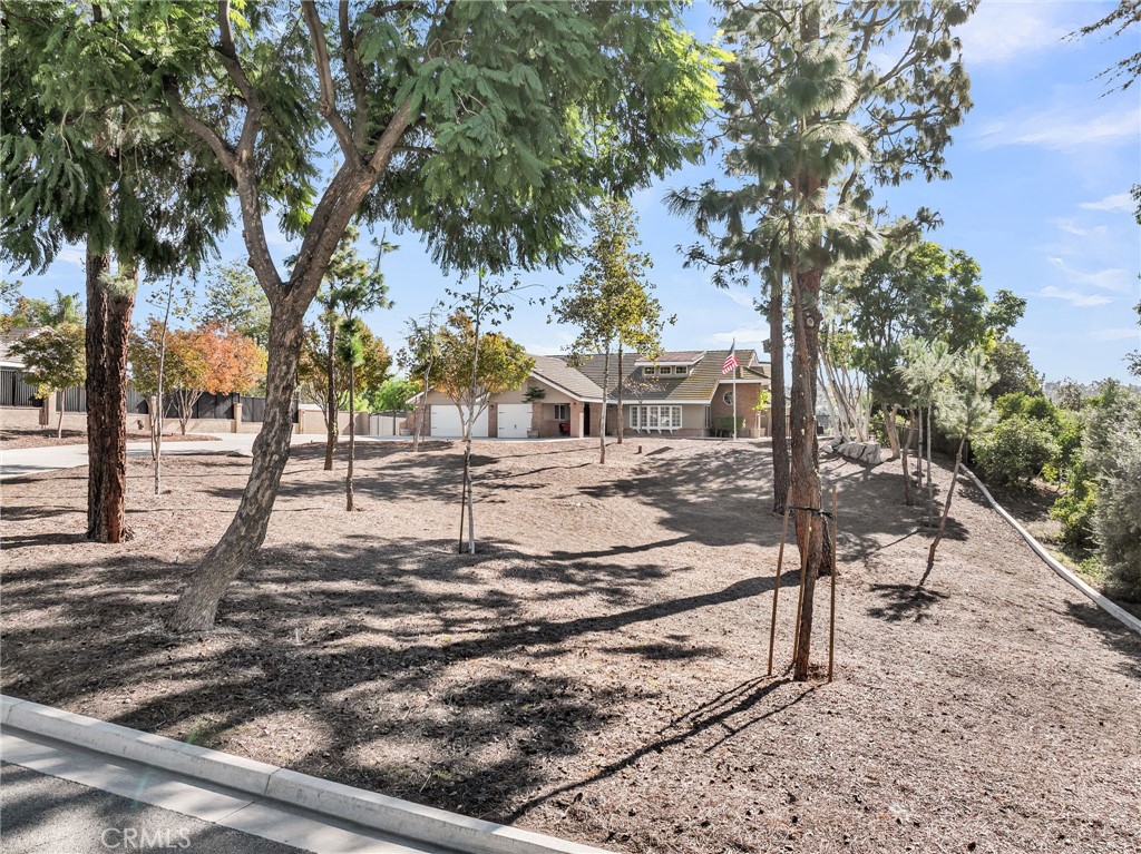 1250 Highridge Street Riverside, CA 92506 - Photo 60 of 74