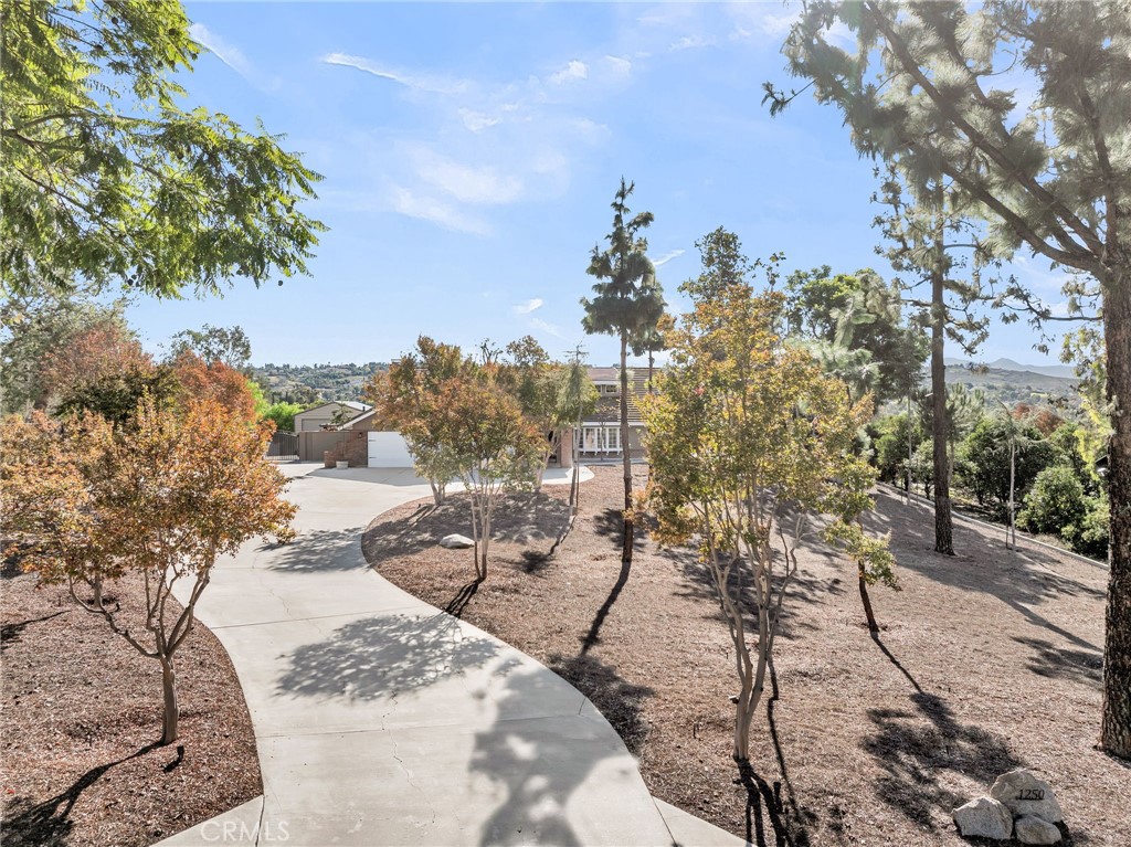 1250 Highridge Street Riverside, CA 92506 - Photo 61 of 74