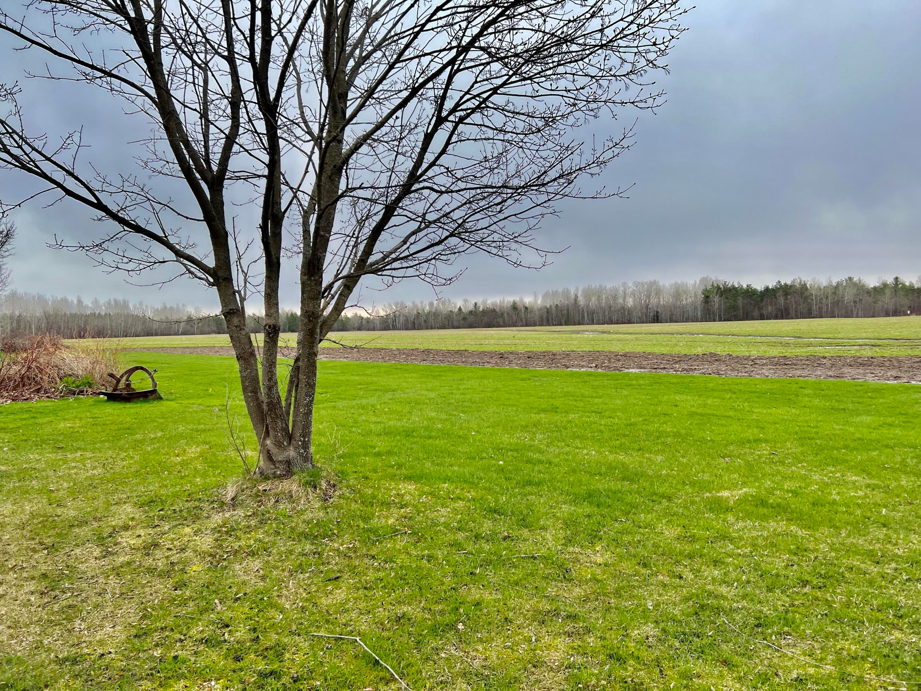 8470 Galbraith Road Cheboygan, MI 49721 - Photo 23 of 24 Gallery Image 23