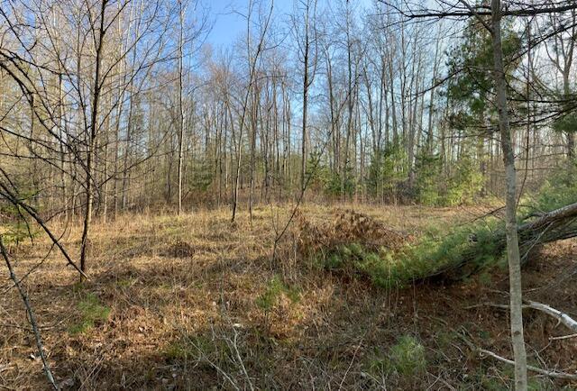 Ray Road Mio, MI 48647 - Photo 9 of 30 Gallery Image 9