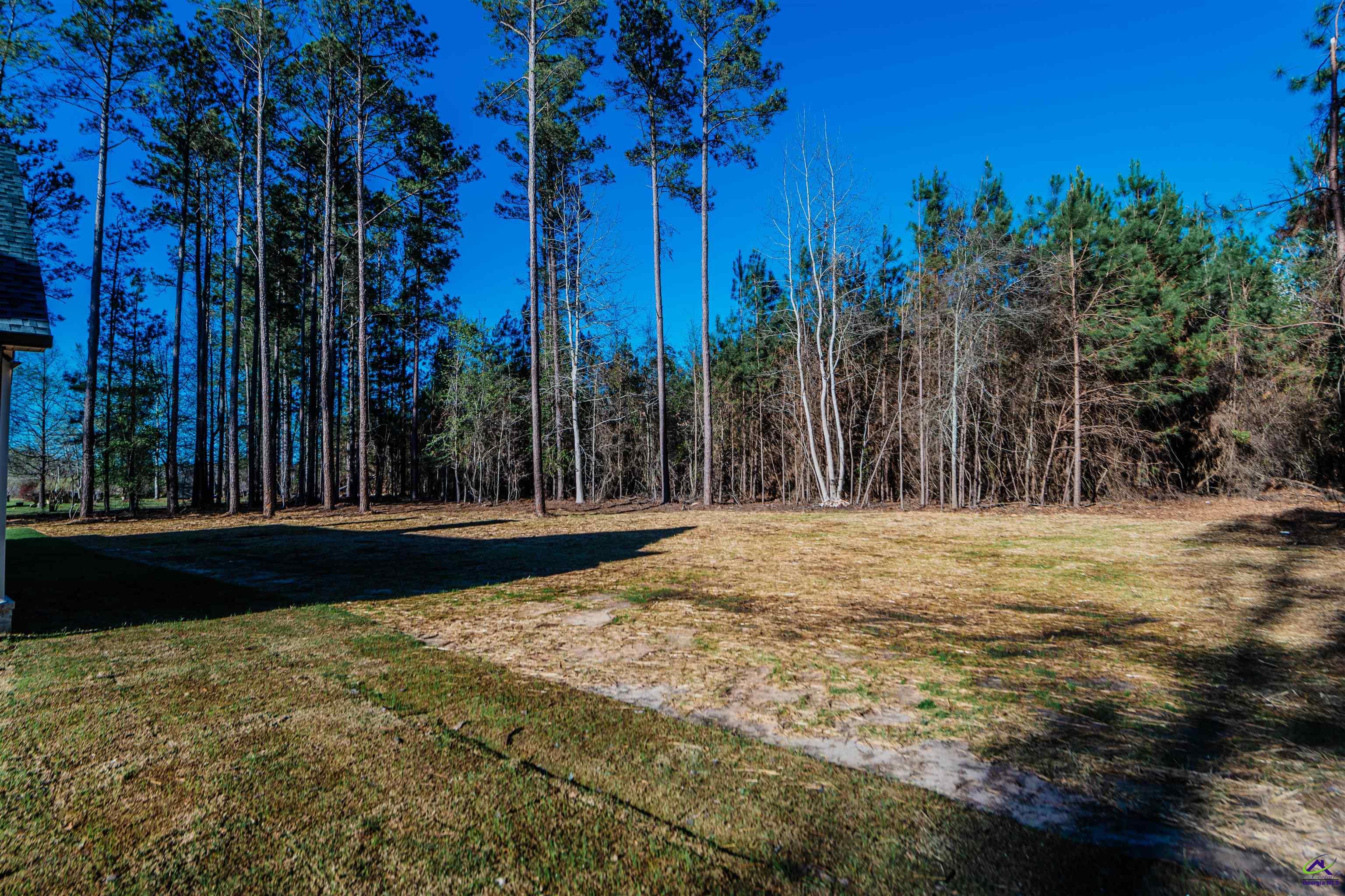 2089 Willow Lake Road Fort Valley, GA 31030 - Photo 50 of 50