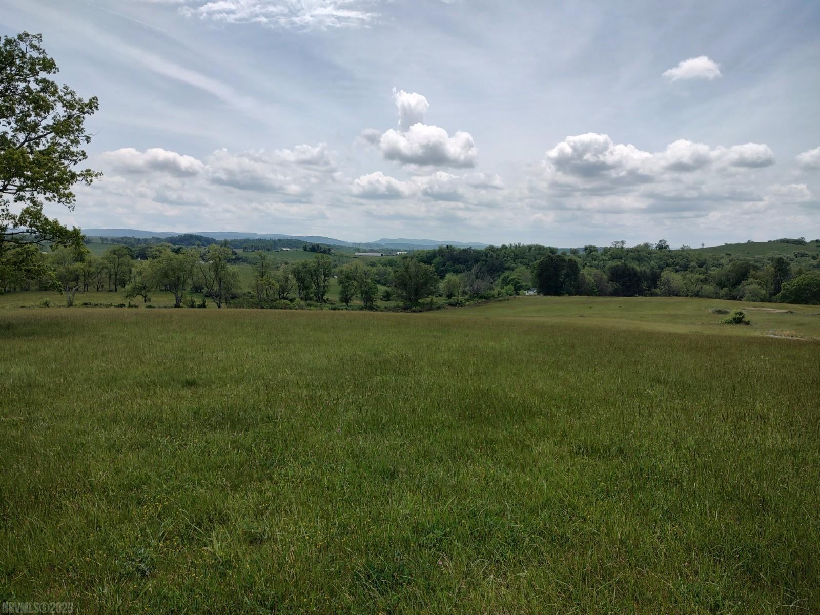 Tbd Oglesby Road Draper, VA 24324 - Photo 3 of 10 Gallery Image 3