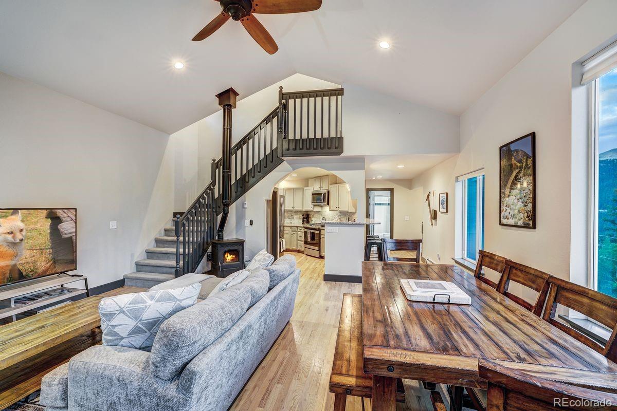 1095 Quartzville Road Alma, CO 80420 - Photo 10 of 48 Gallery Image 10