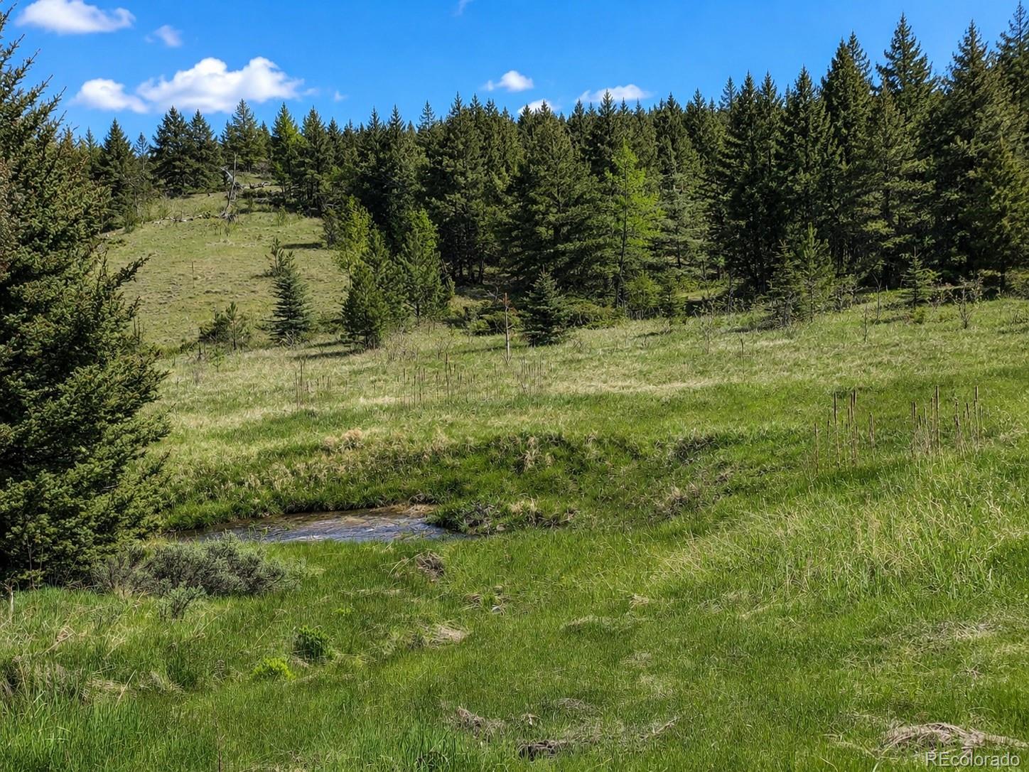 Lot 1 Co Road Westcliffe, CO 81252 - Photo 15 of 42