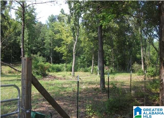 0 Collins Road Ohatchee, AL 36271 - Photo 4 of 6