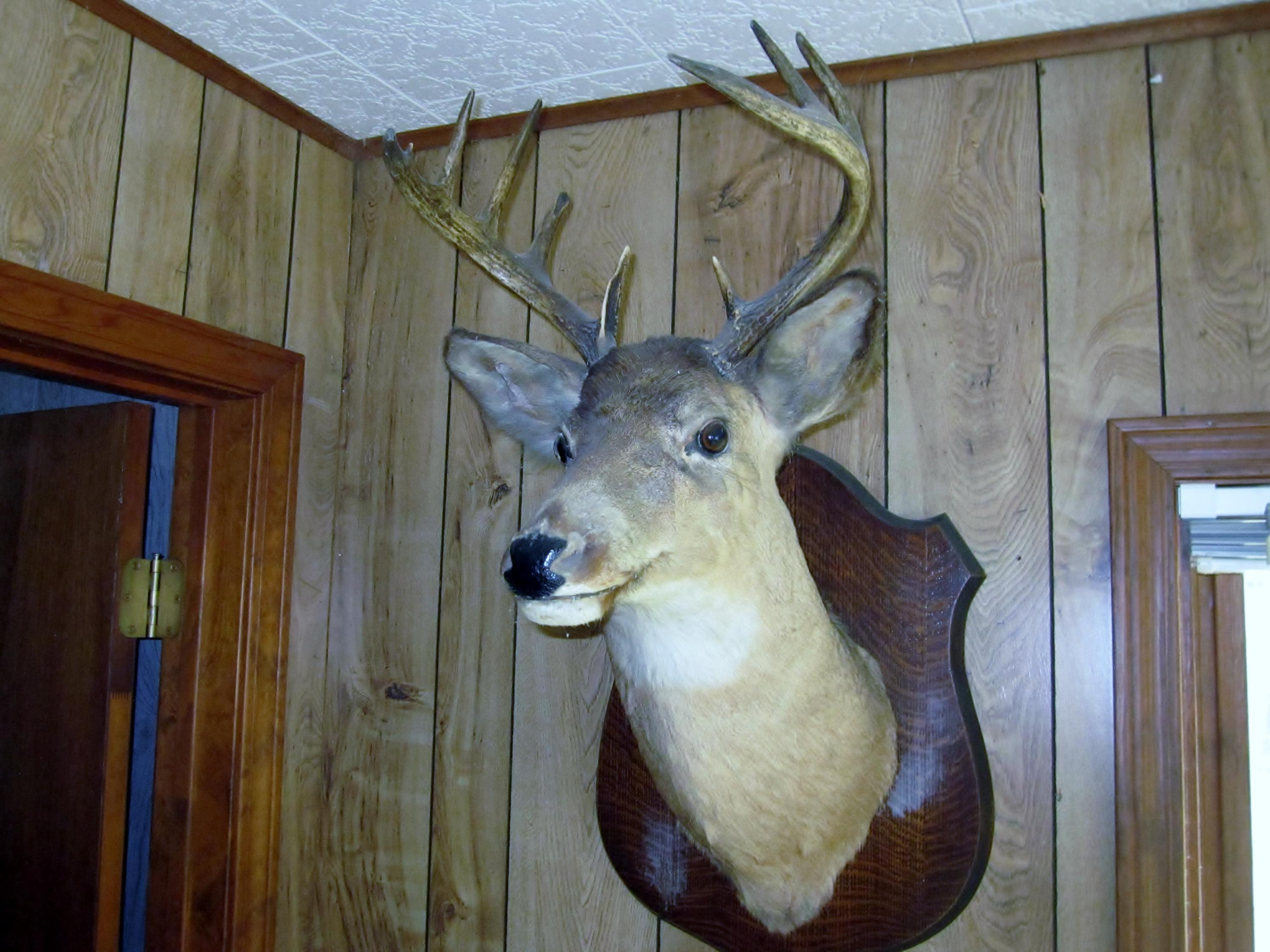 16790 Ole Railroad Grade Road Atlanta, MI 49709 - Photo 18 of 40 Gallery Image 18