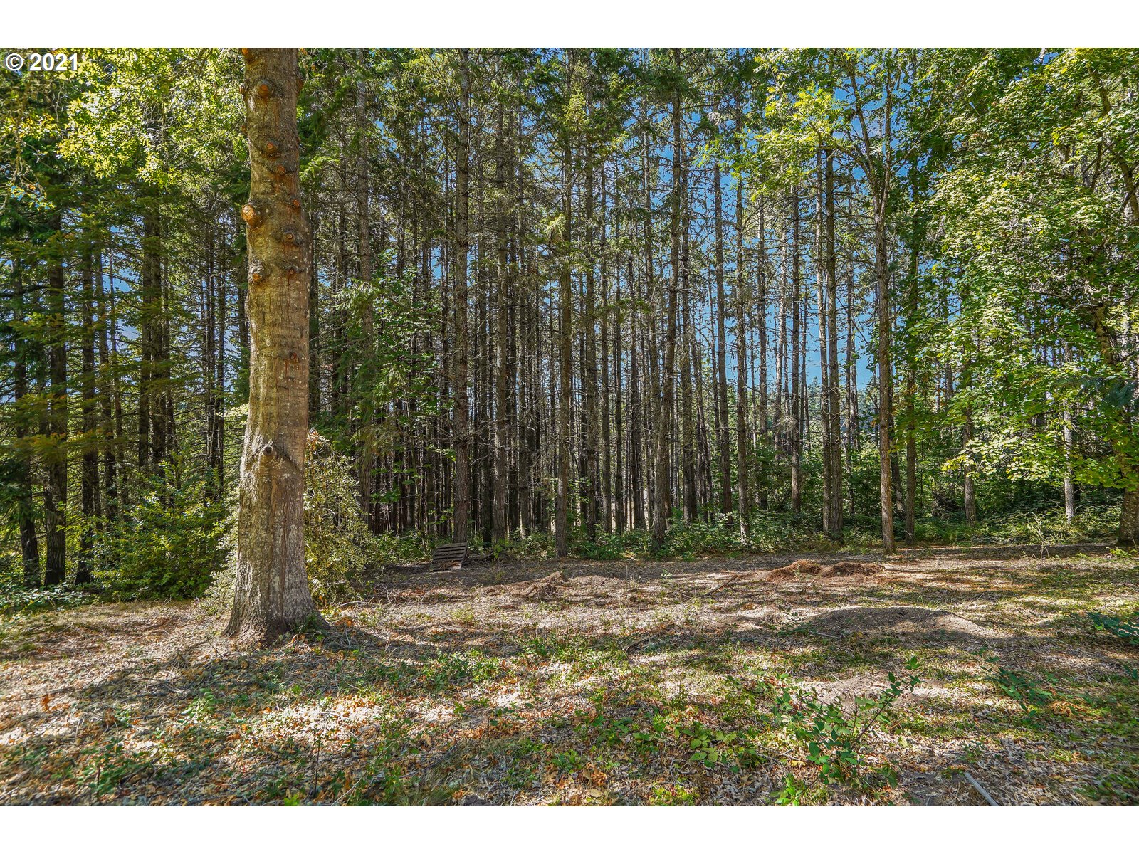3868 Riverdale Road South Salem, OR 97302 - Photo 30 of 32 Gallery Image 30