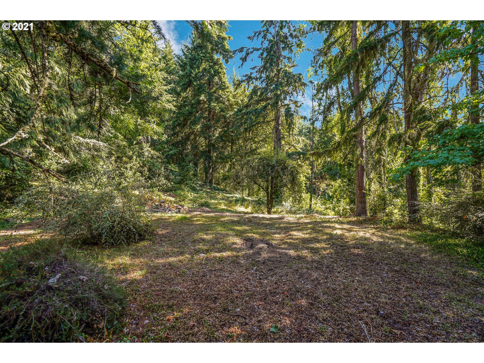 3868 Riverdale Road South Salem, OR 97302 - Photo 31 of 32 Gallery Image 31