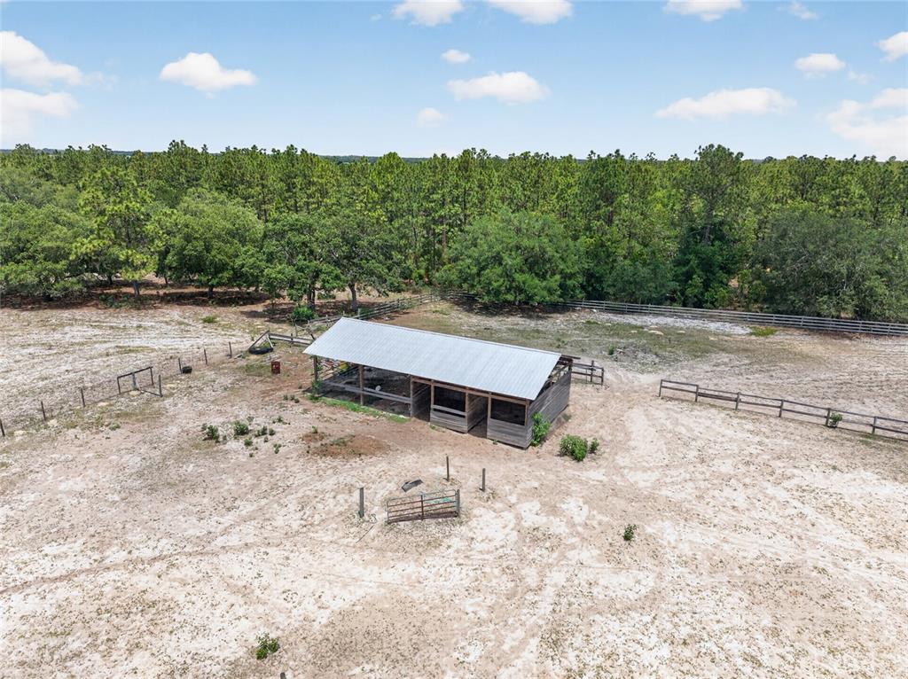 1098 Northwest 165th Ct Road Dunnellon, FL 34432 - Photo 33 of 35