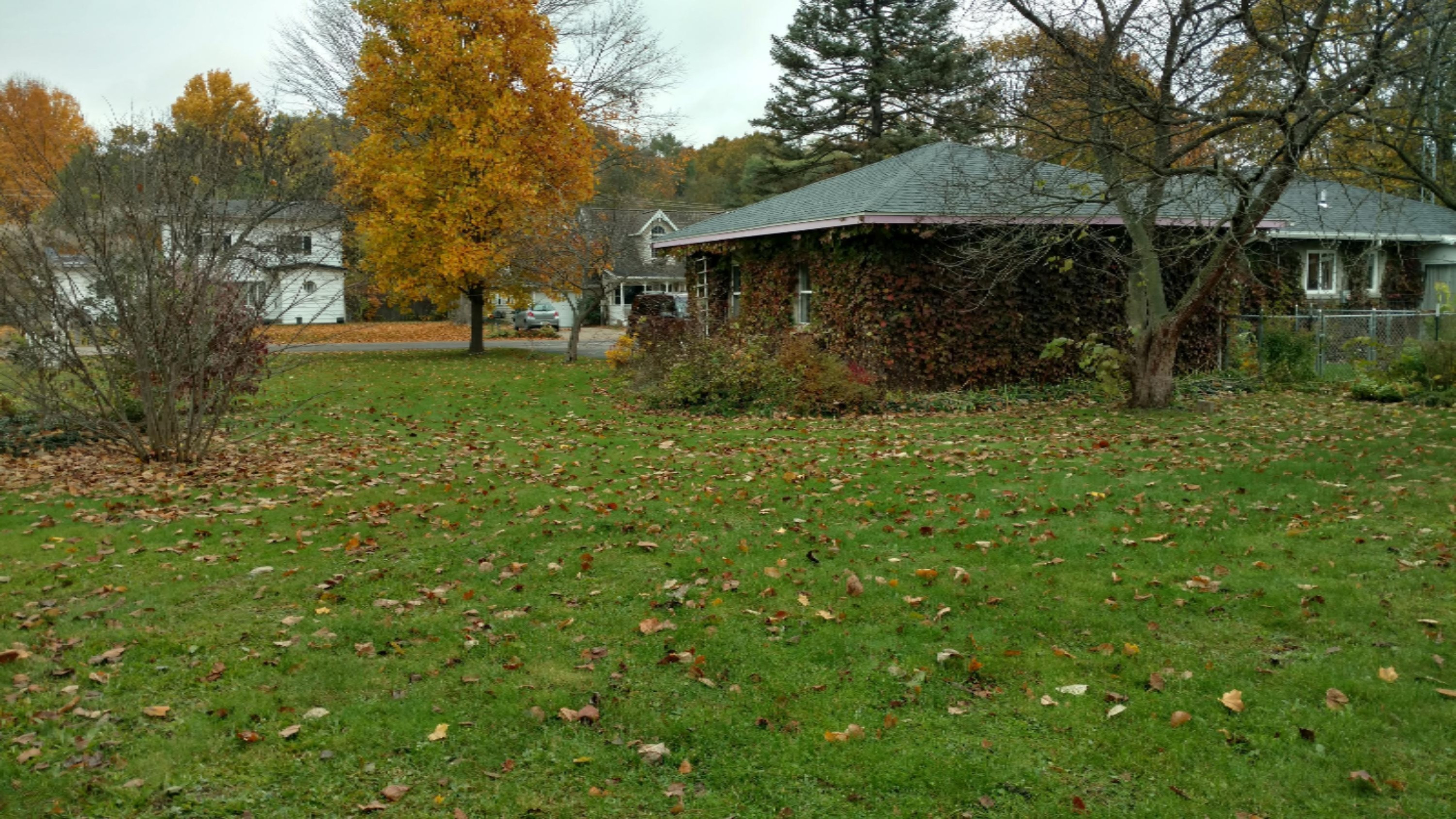 16575 Kellogg Avenue Three Rivers, MI 49093 - Photo 5 of 15 IMG_20191102_104826735_HDR