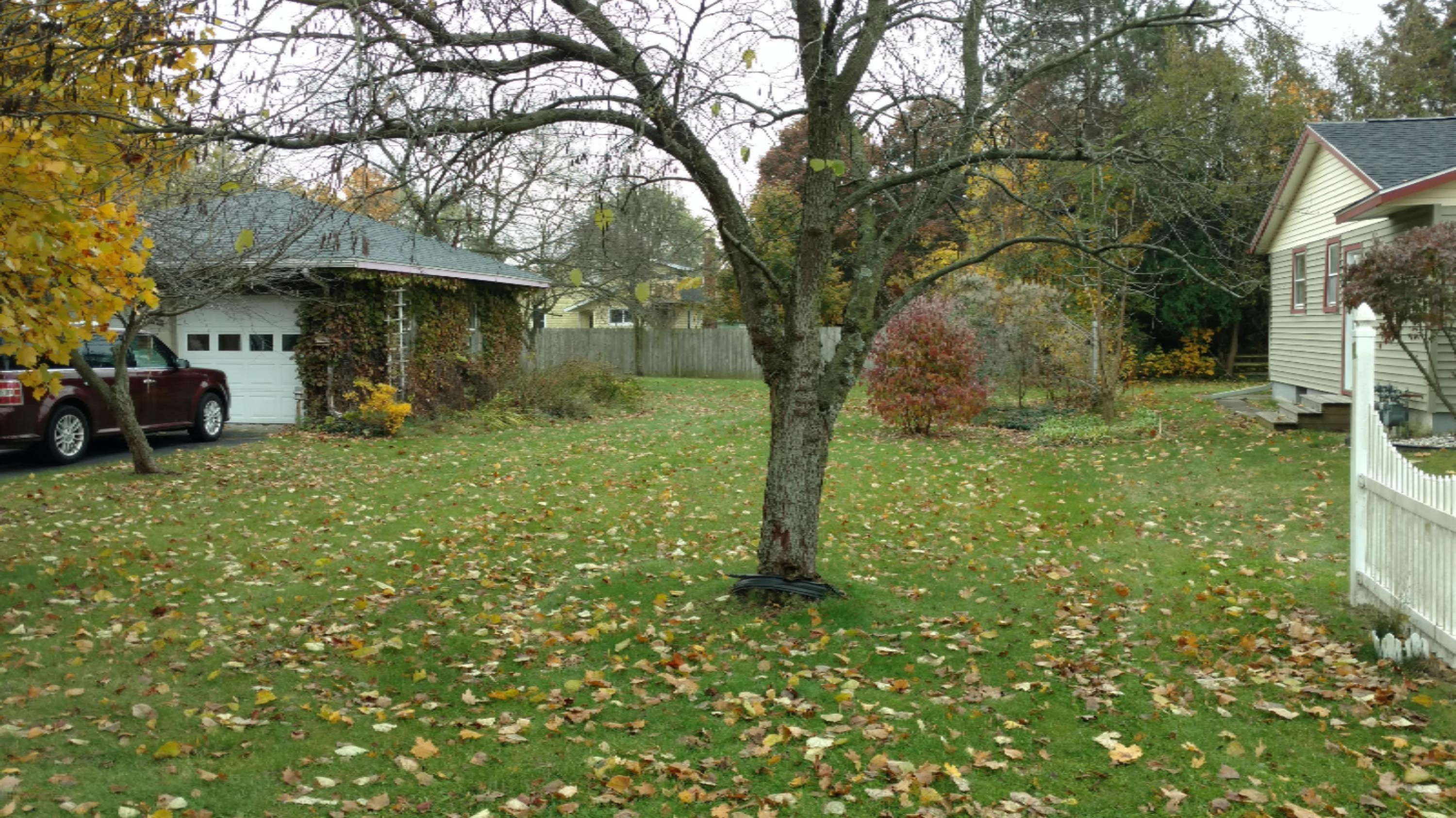 16575 Kellogg Avenue Three Rivers, MI 49093 - Photo 6 of 15 IMG_20191102_104906907