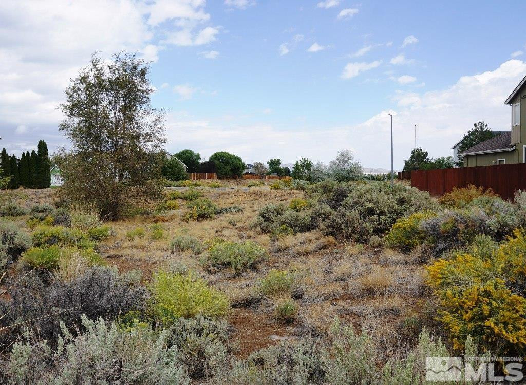 9765 Drybrush Court Reno, NV 89506 - Photo 17 of 18 Photo 17