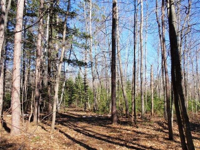 6833 Shore Dr Drive Rhinelander, WI 54501 - Photo 17 of 20 Gallery Image 17