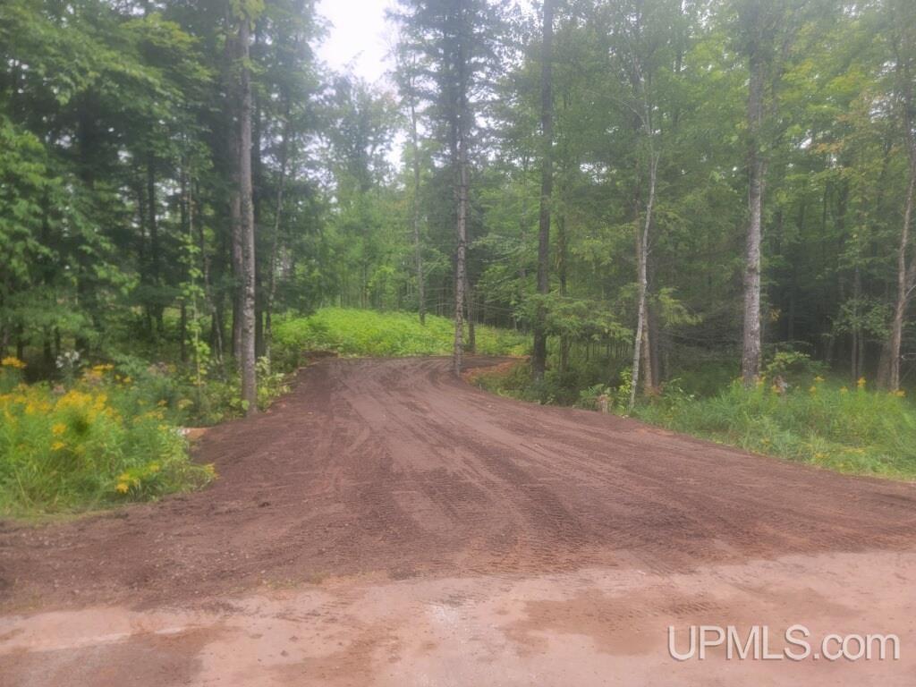 Tbdfg Dog Patch Road, Unit LOT F AND G Lanse, MI 49946 - Photo 2 of 17