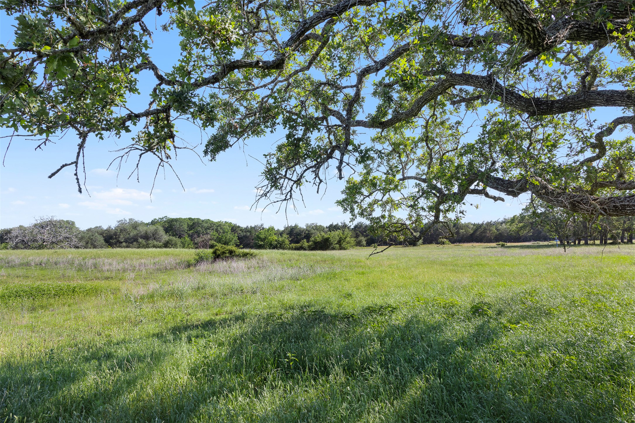 1310 North Nassau Road Round Top, TX 78954 - Photo 14 of 24