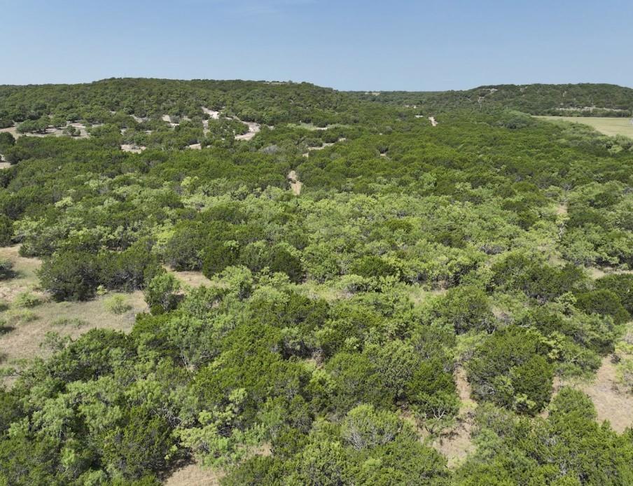 1093 Lemons Gap Road Ovalo, TX 79541 - Photo 15 of 18 Gallery Image 15