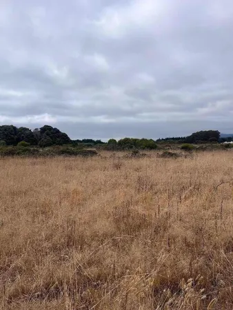 $45,000 | 200 Dolores Avenue, Half Moon Bay, CA 94019