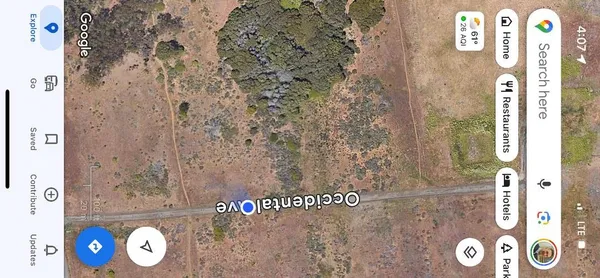 a close up of a plant